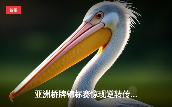 亚洲桥牌锦标赛惊现逆转传奇 中国老将武卫国率队上演绝地反击